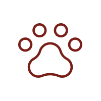 Dog park 