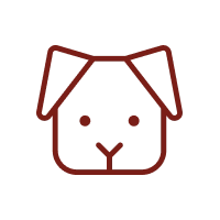 Dog spa