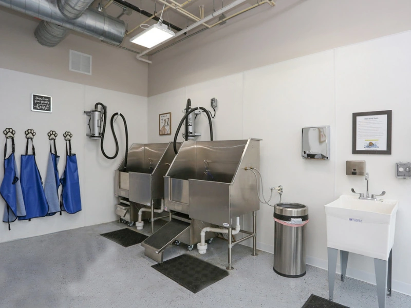 Pet Spa at Mammoth Springs