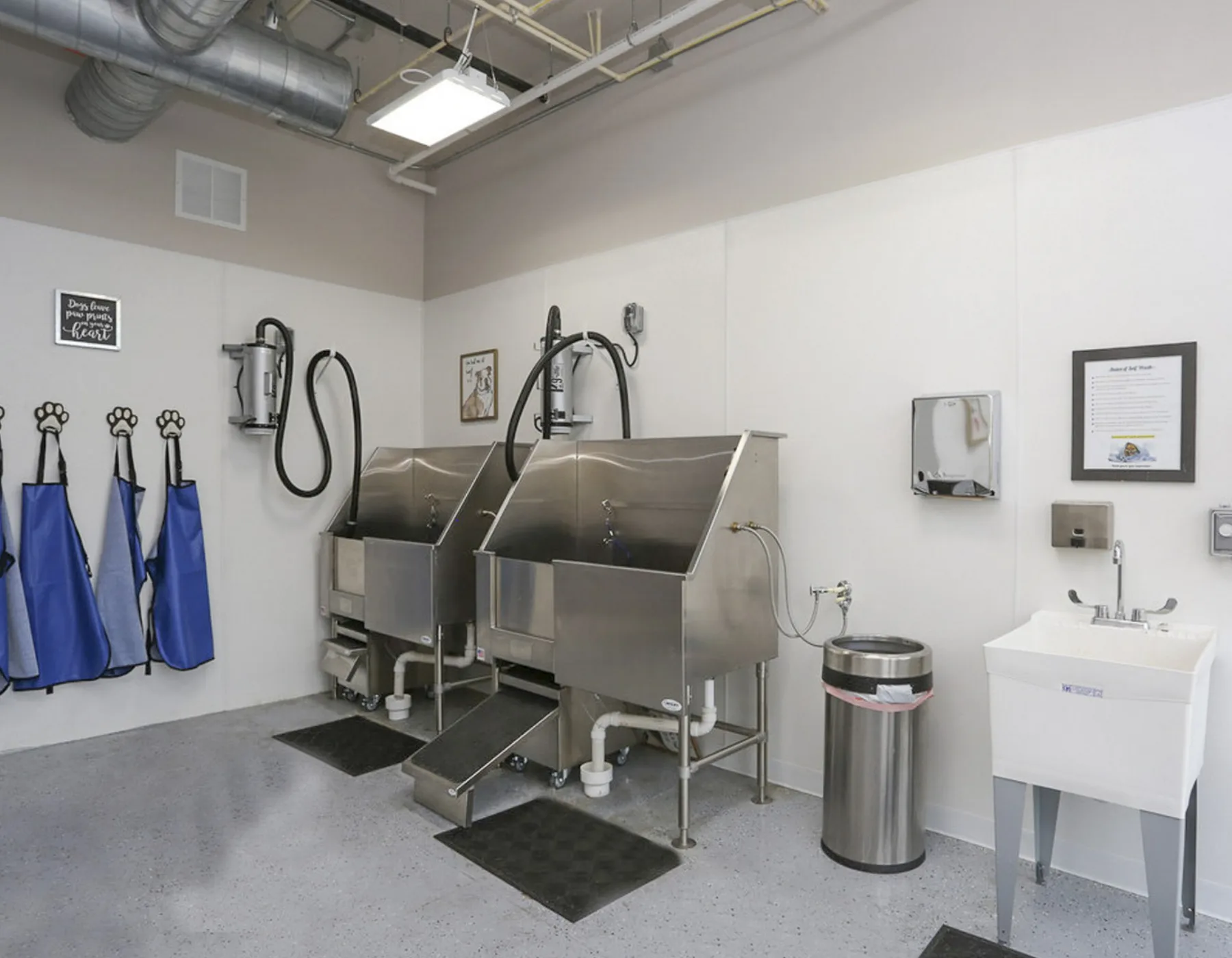 Pet Spa and Dog Wash Station